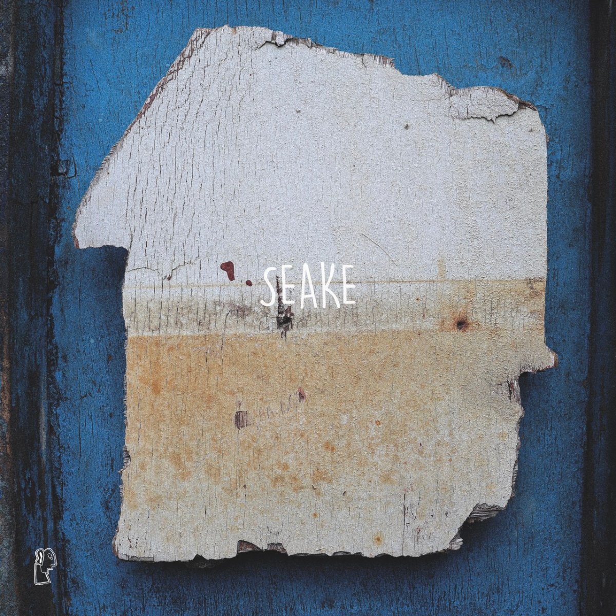 Cover of Ngoni by Seake